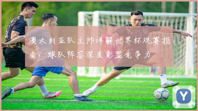 澳大利亚队主帅详解世界杯观赛指南，球队阵容深度彰显竞争力